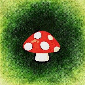 Рисунок гриба мухомора эстетичный