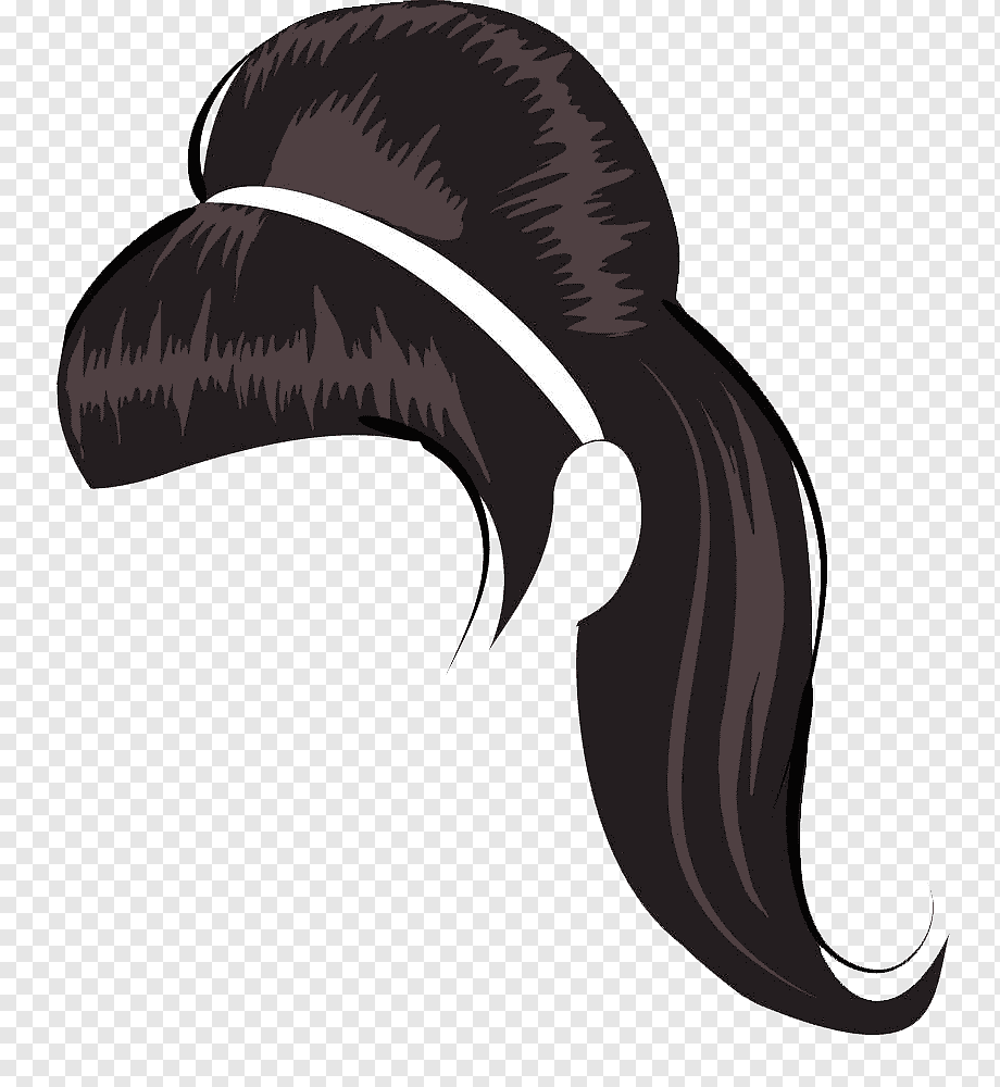 Хвост черных волос