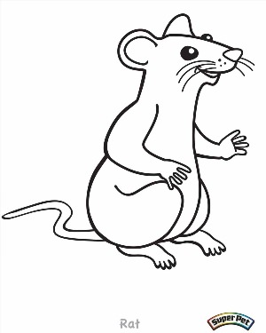 Мышь контурный рисунок