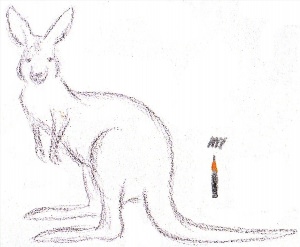 Легкий рисунок кенгуру