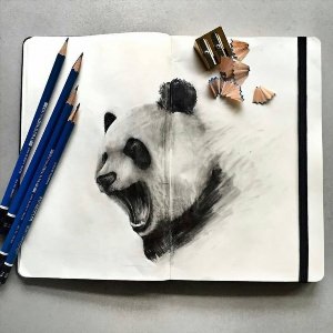 Рисунки фломастерами панда