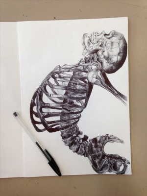 Рисунки скелет ручкой