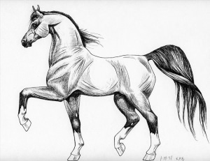 Рисунки карандашом конь
