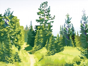 Лес векторный рисунок