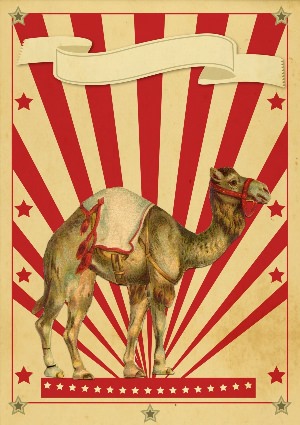Цирк плакат