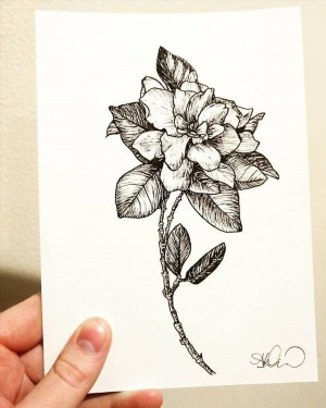 Рисунки цветка гелевой ручкой