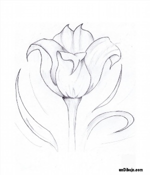 Рисунки тюльпан ручкой