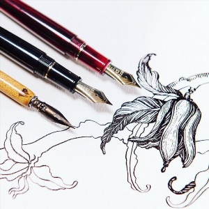 Рисунки перьевой ручкой и чернилами