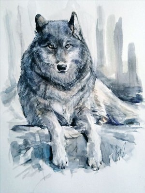Иллюстрация волк