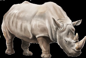 Носорог клипарт