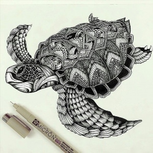 Рисунки ручкой черепаха