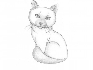 Рисунки карандашом кошка легкий