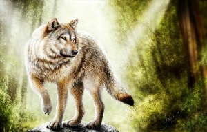 Фоновый рисунок волка