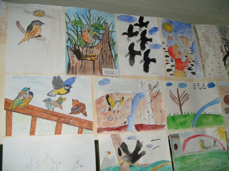 День птиц рисунки детей