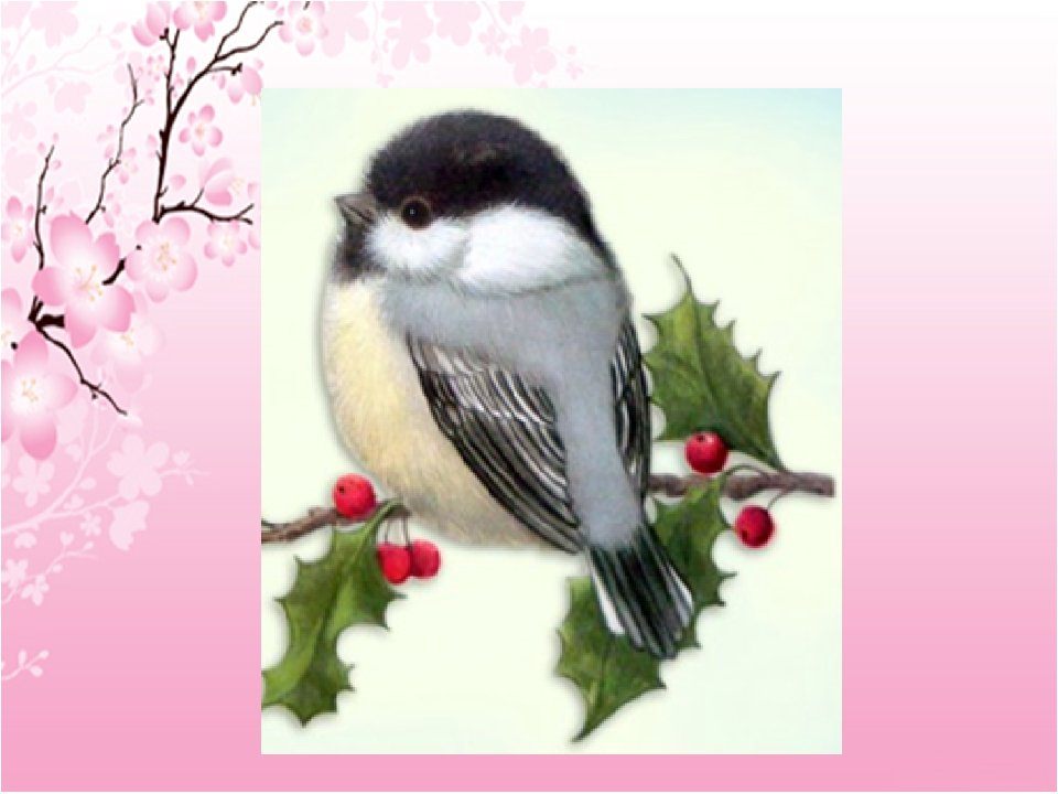 Еще две недели птицы. День птиц картинки. День птиц открытки красивые. День птиц 3 февраля. Распечатки на тему день птиц.