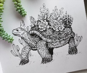Рисунки ручкой черепашка