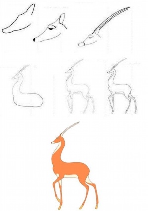 Как нарисовать антилопу