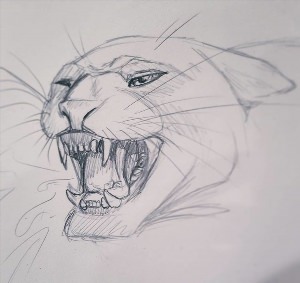 Рисунки карандашом пантера