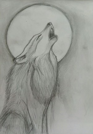 Рисунок волка не сложно