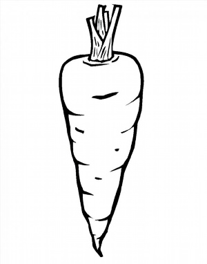 Морковь рисунок контурный