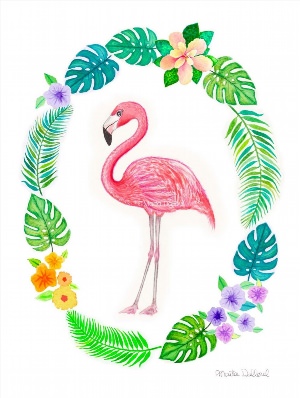 Красивые рисунки фламинго
