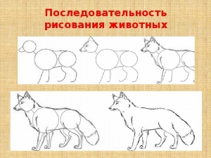 Как нарисовать зверей