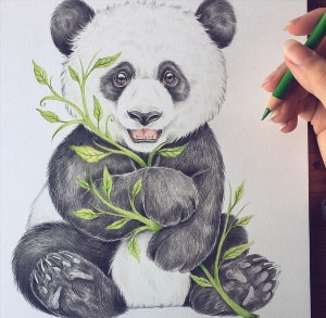 Рисунок маркерами панда