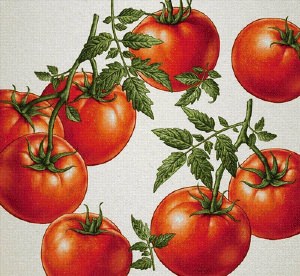 Маленькие помидоры рисунки