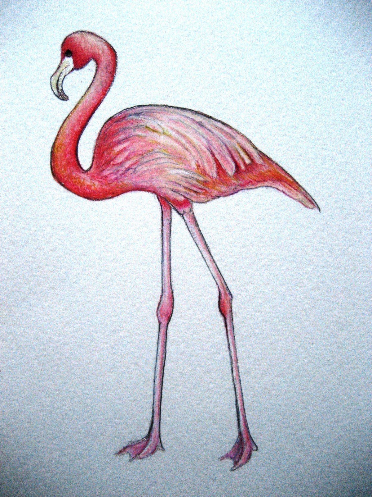 Фламинго легко