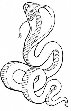 Контурный рисунок змея