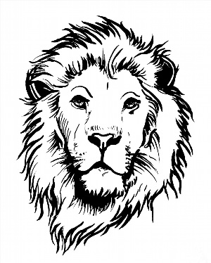 Голова льва контурный рисунок