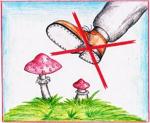 Рисунок на тему охрана растений