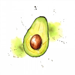 Рисунок авокадо акварелью