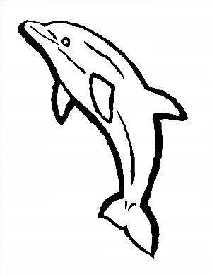 Рисунок маленького дельфинчика