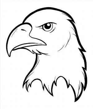 Рисунок маленького орла