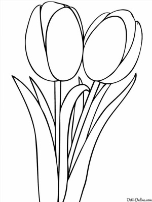 Рисунки карандашом букет тюльпанов