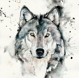 Волк рисунок арт