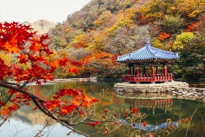 Корейские пейзажи