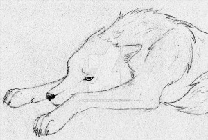 Грустный волк рисунок карандашом