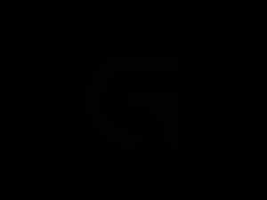 Логотип g