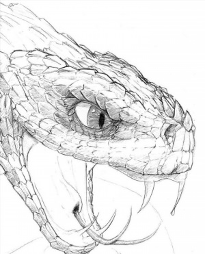 Змея рисунок карандашом сложный