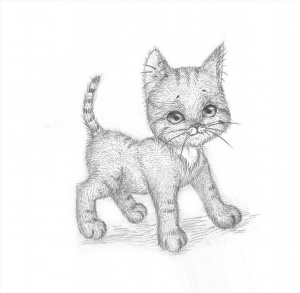 Рисунки карандашом котенок