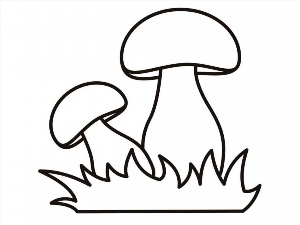 Рисунки раскраски грибочек