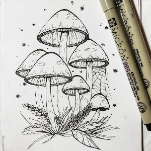 Рисунки грибов тату