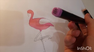 Рисунки фламинго фломастерами