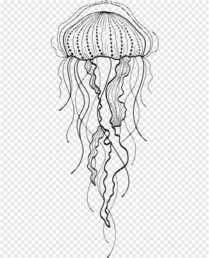 Медуза контурный рисунок