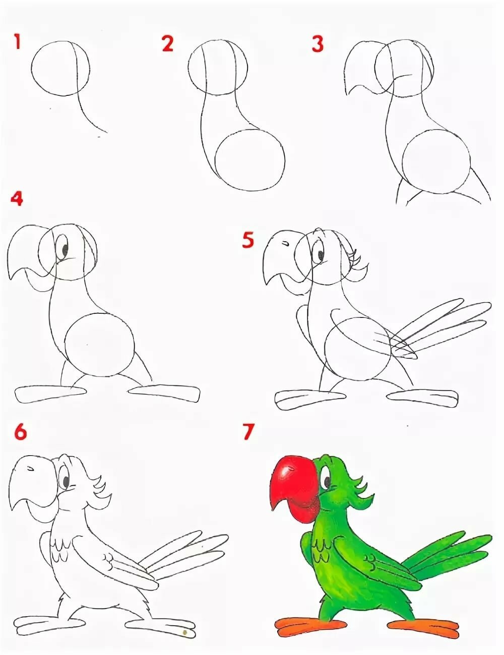 Картинки для начинающих. Пошаговое рисование. Поэтапное рисование карандашом. Поэтапное рисование животных. Уроки поэтапного рисования для детей.