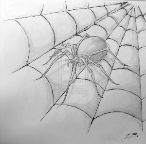 Рисунки карандашом паутина