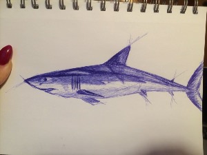 Рисунки акулы ручкой