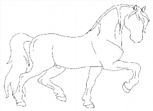 Конь контурный рисунок